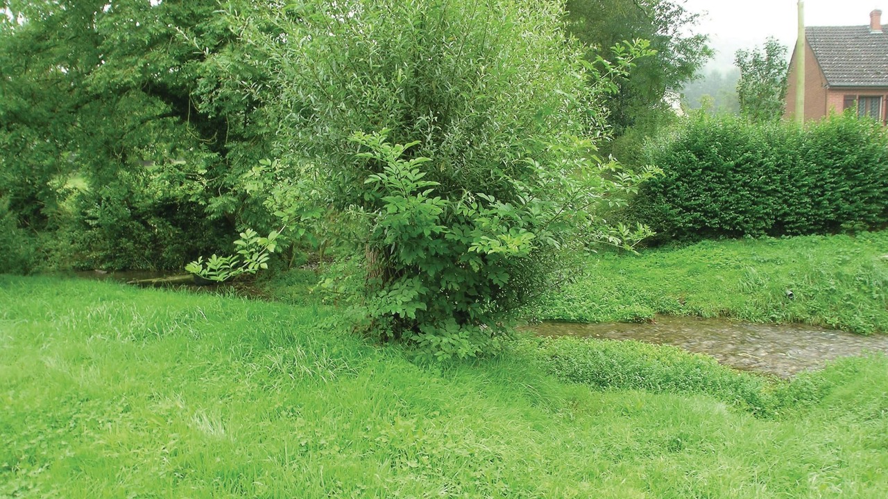 Photo of Others in Embry