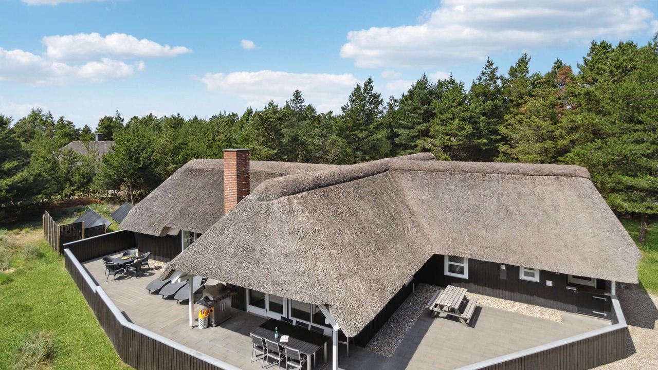 Photo of Others in Blavand Strand