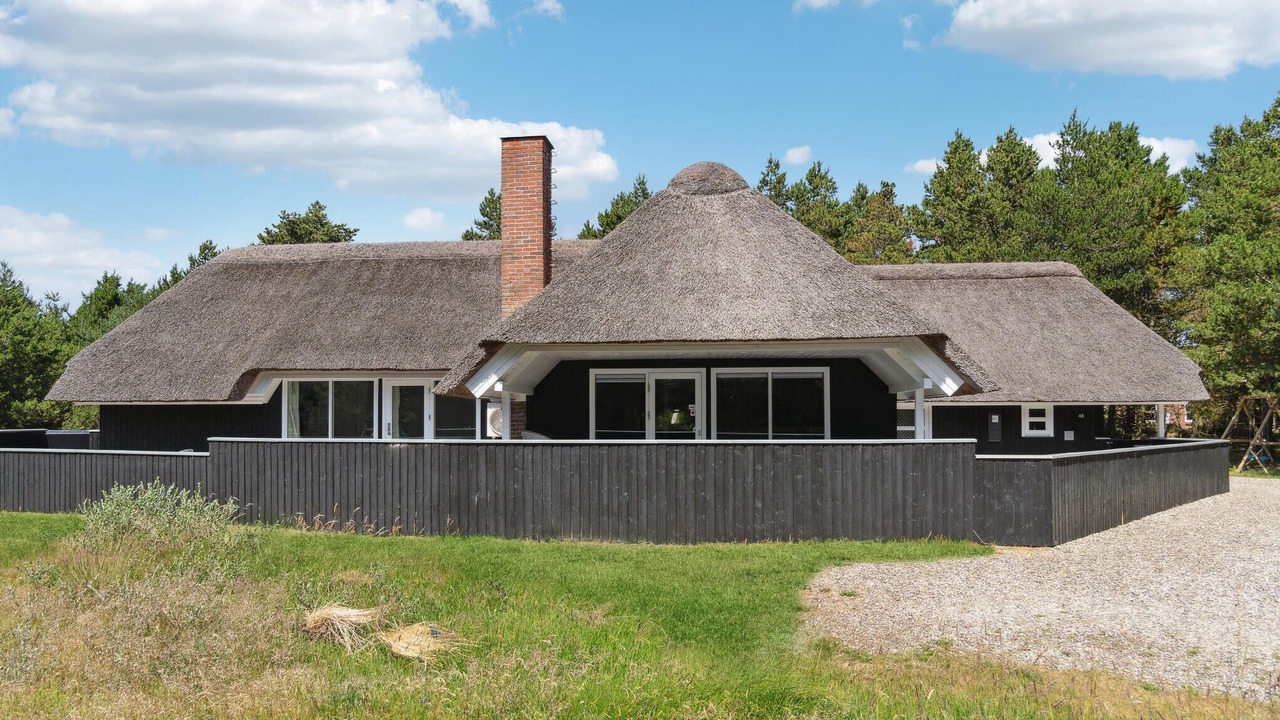 Photo of Others in Blavand Strand