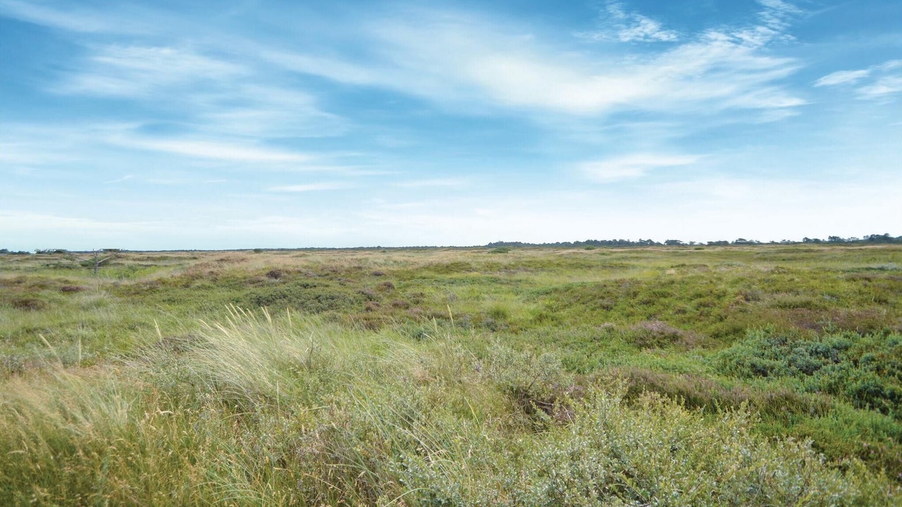 Photo of Others in Kongsmark