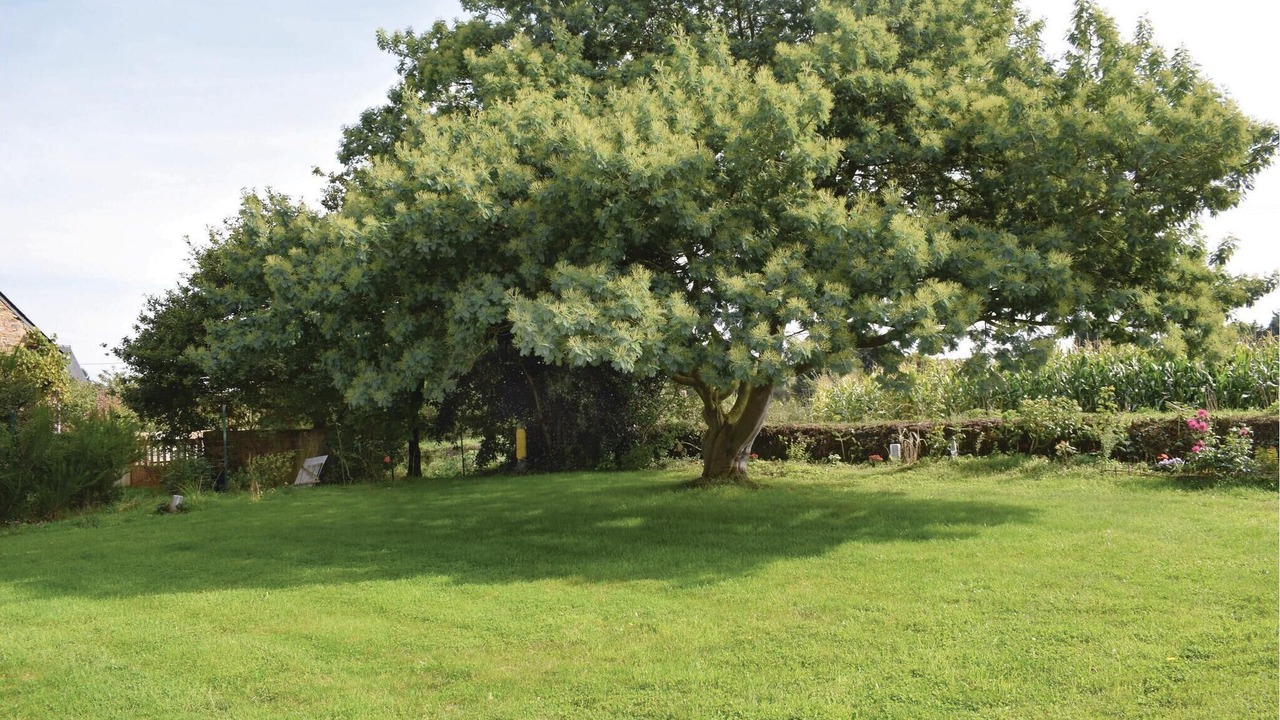 Photo of Others in Plouha