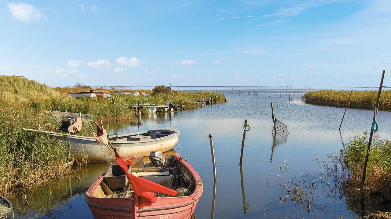 Photo of Others in Haurvig