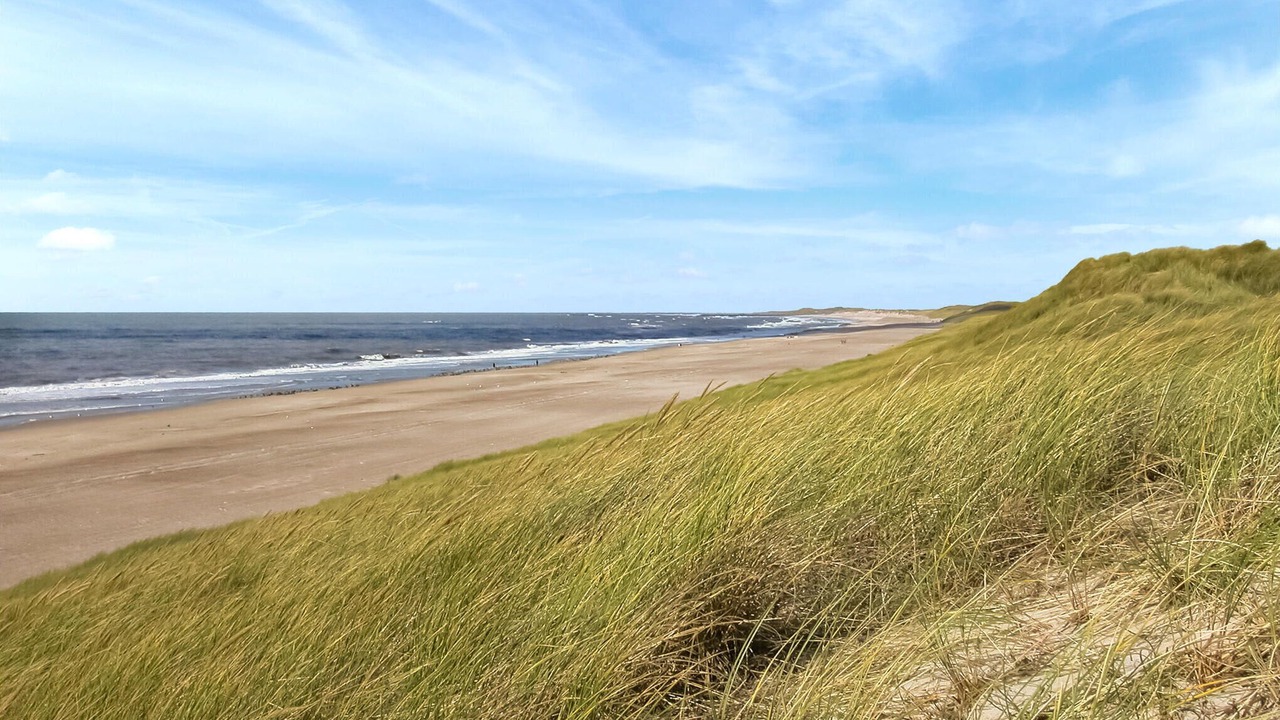 Photo of Others in Haurvig