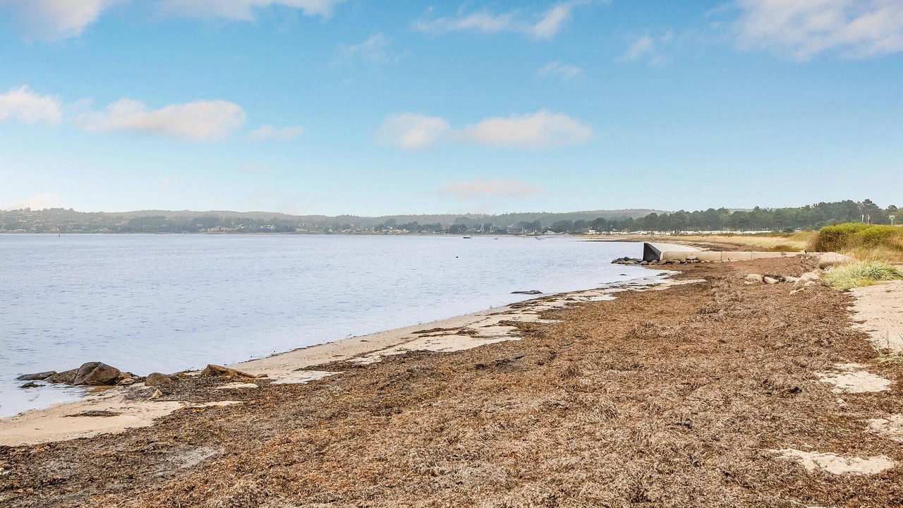 Photo of Others in Syddjurs Kommune