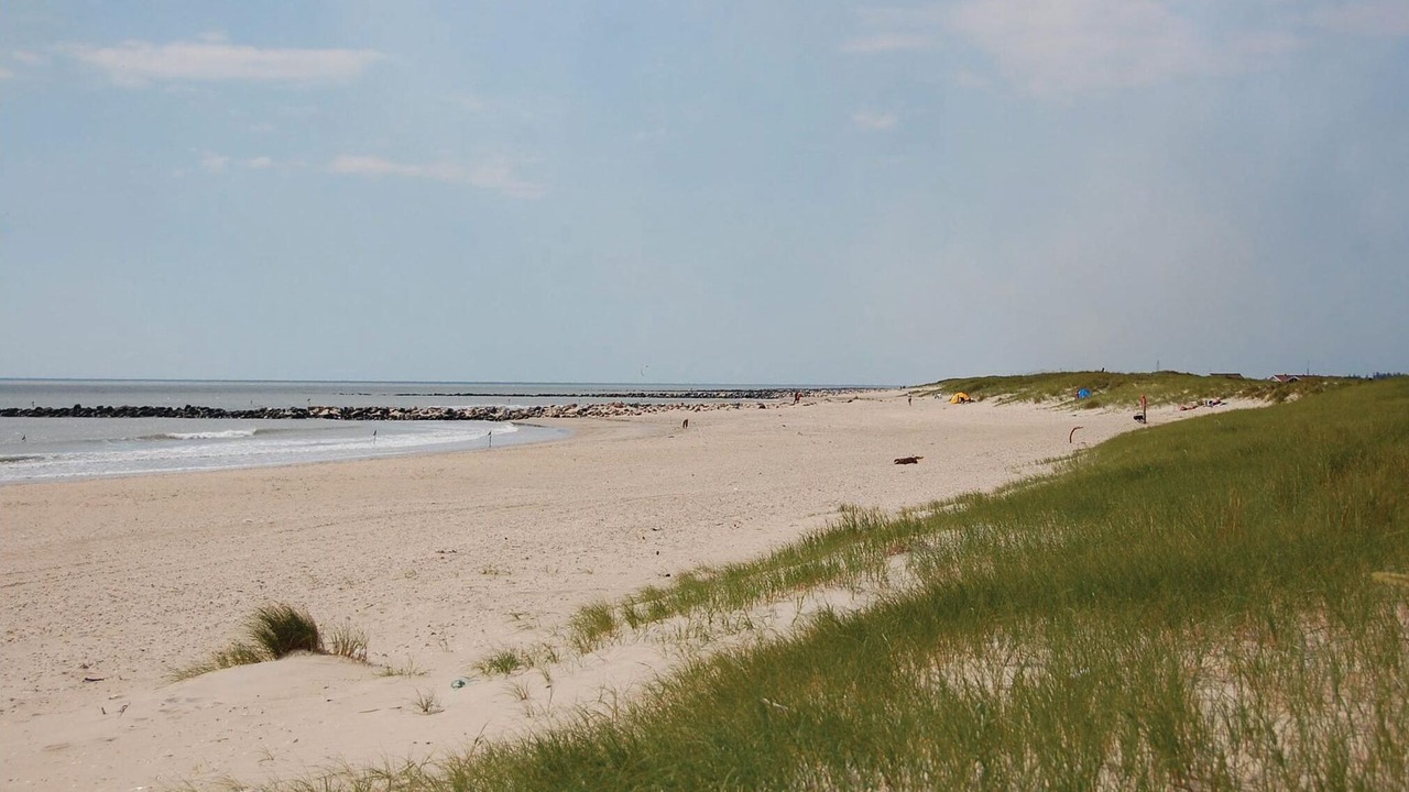 Photo of Others in Blavand