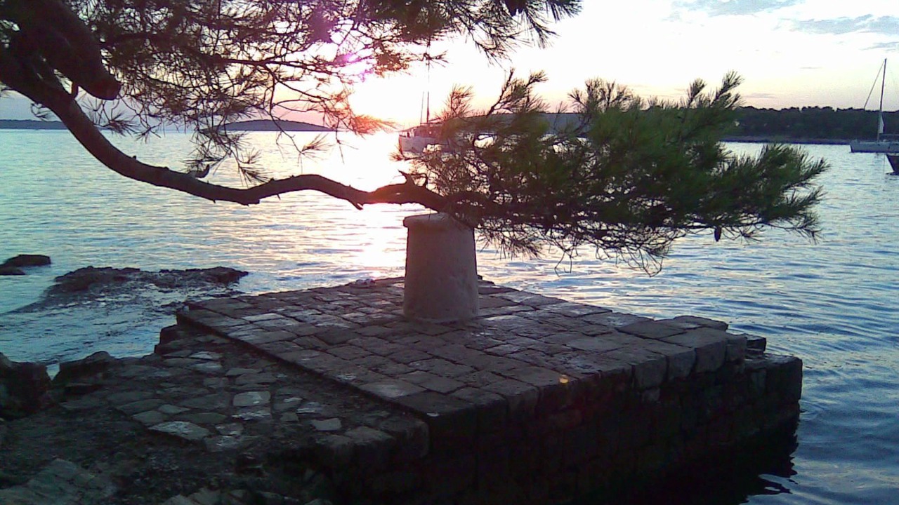 Photo of Others in Maslinica