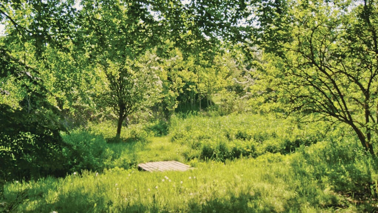Photo of Others in Lihme
