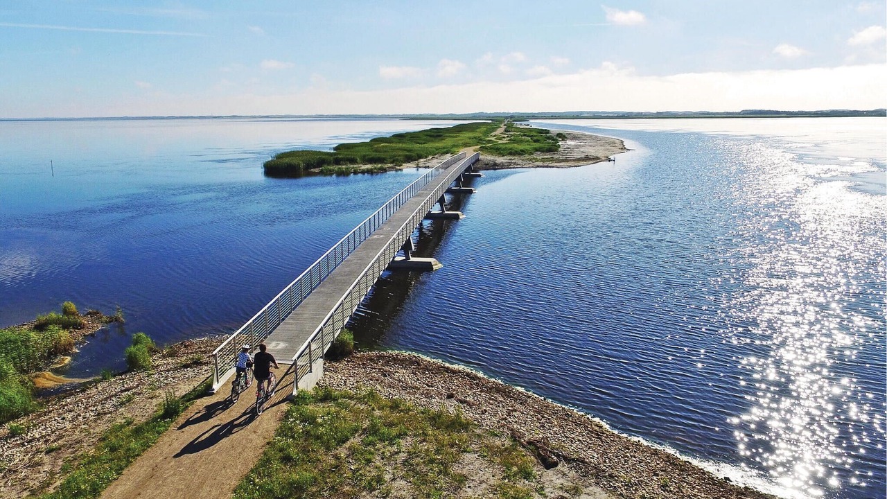 Photo of Others in Lodbjerg Hede