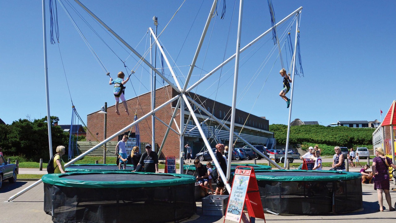 Photo of Others in Lodbjerg Hede