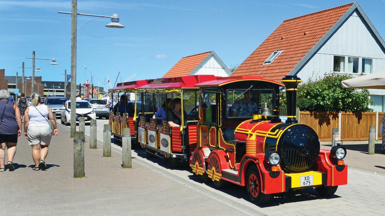 Photo of Others in Lodbjerg Hede