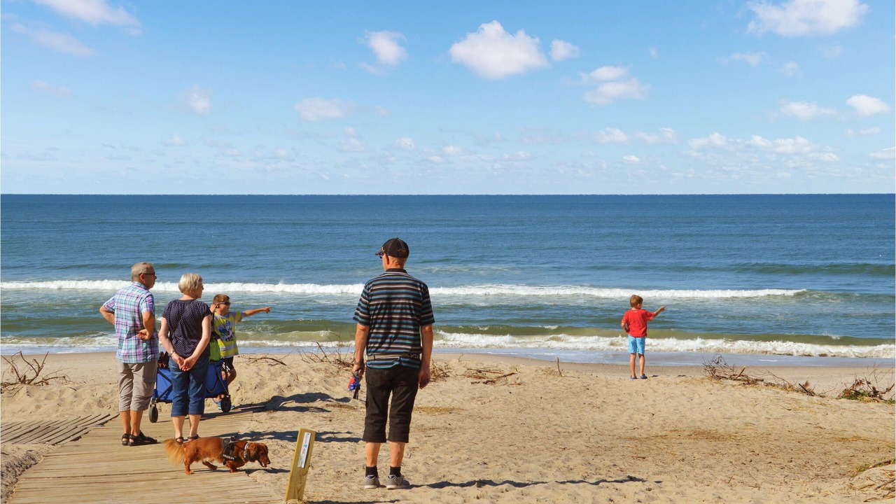 Photo of Others in Lodbjerg Hede