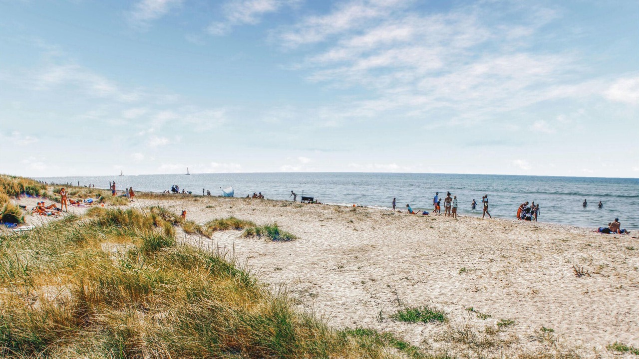 Photo of Others in Øer Strand