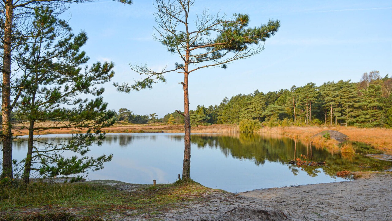 Photo of Others in Kongsmark