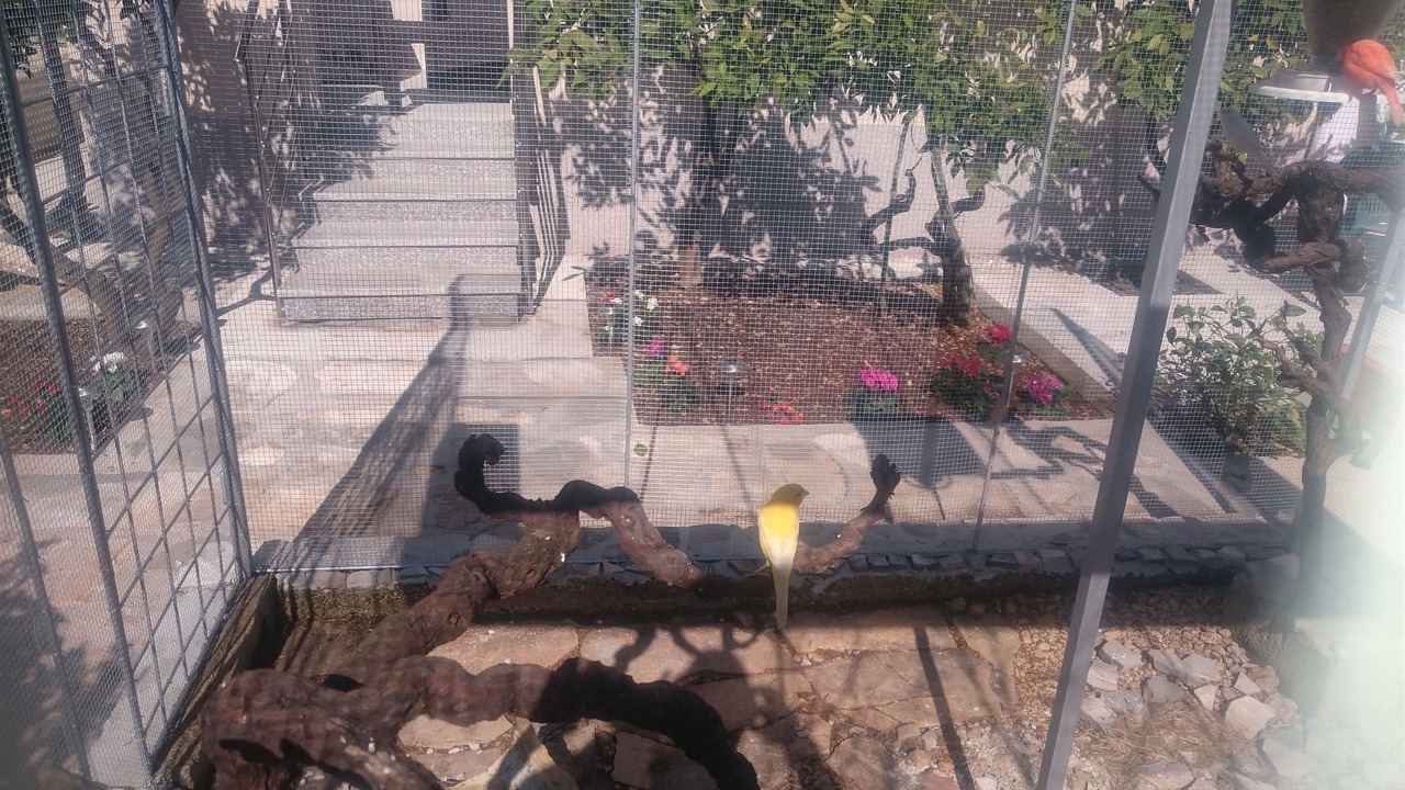 Photo of Outdoor in Vinisce