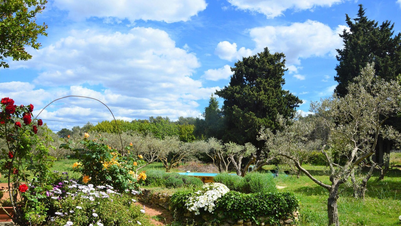 Photo of Others in Fontvieille