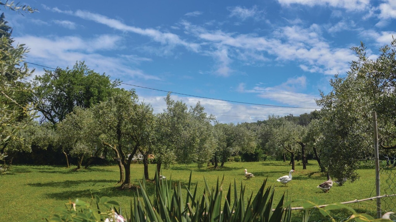 Photo of Others in Fontvieille