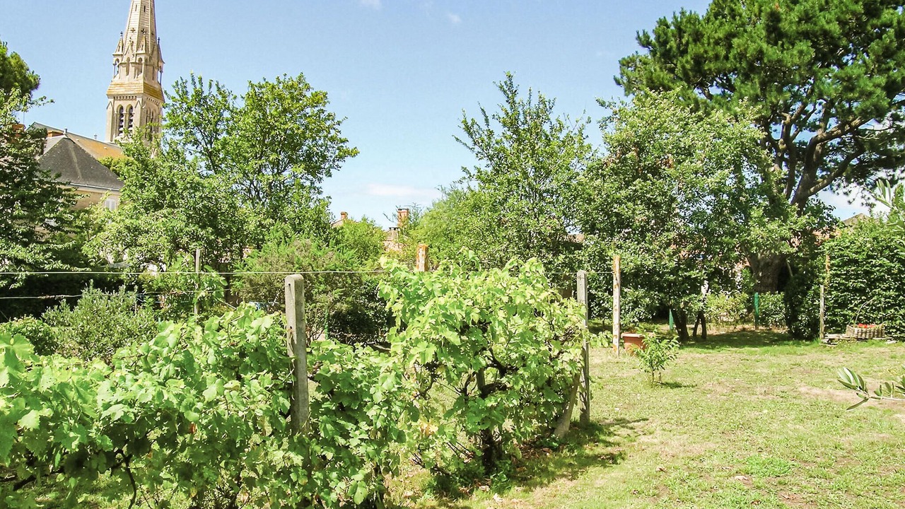Photo of Others in Talmont-Saint-Hilaire