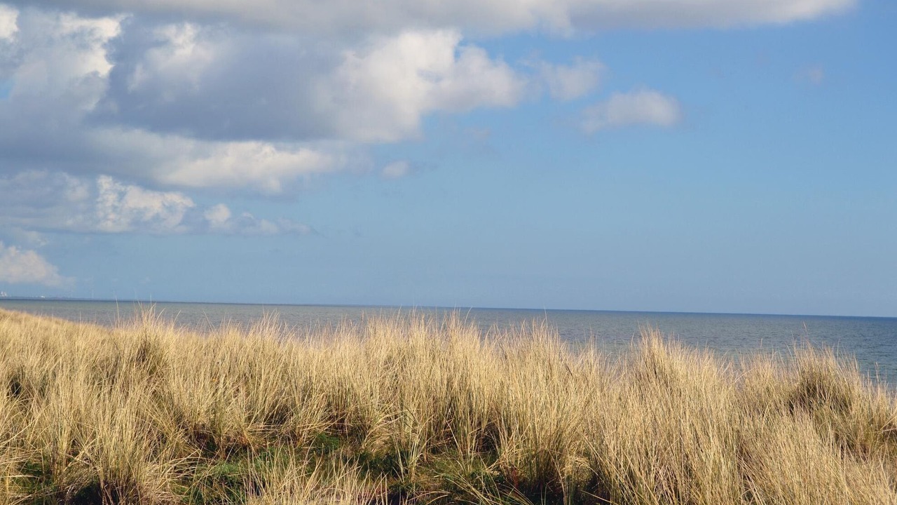 Photo of Others in Nordost