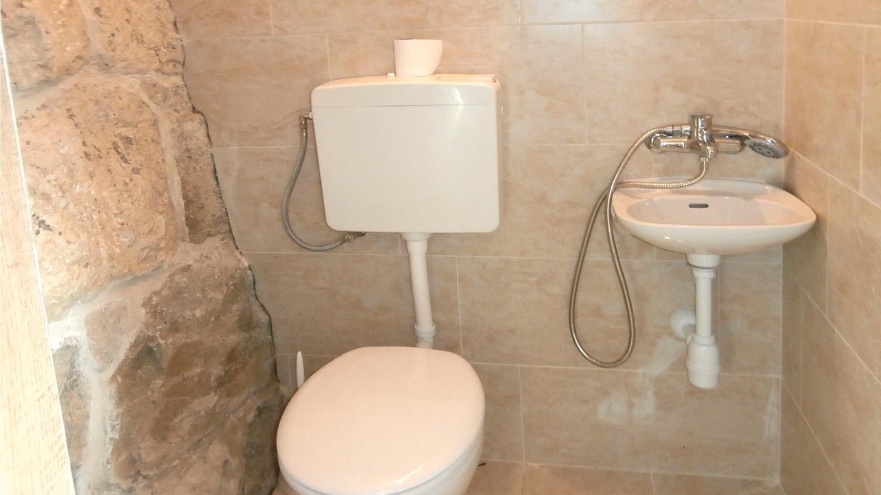 Photo of Bathroom in Zvecanje