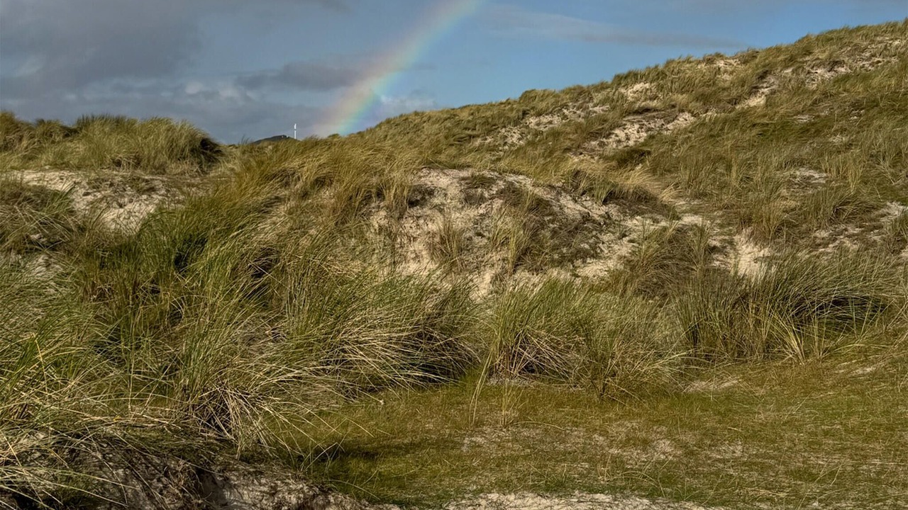 Photo of Others in Rindby Strand
