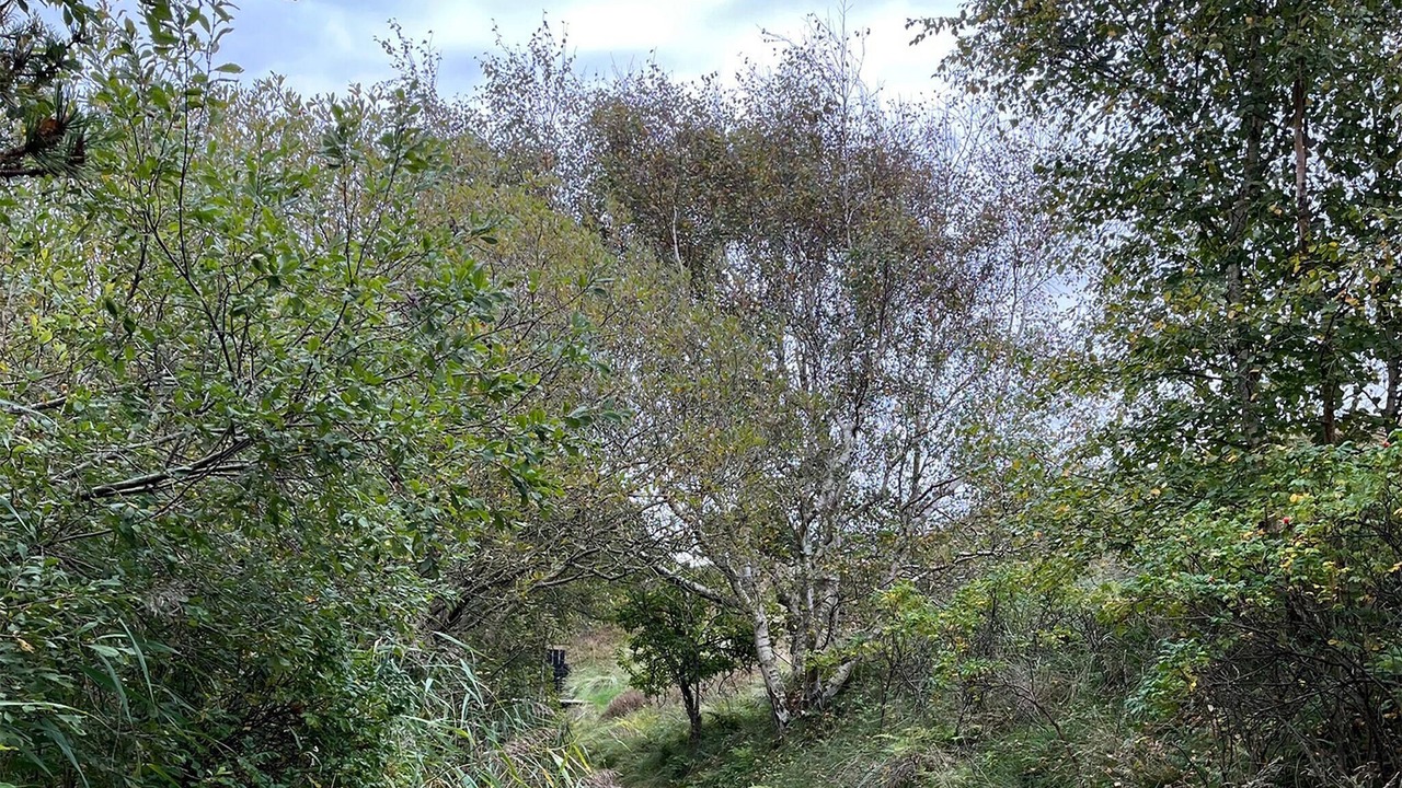 Photo of Others in Rindby Strand