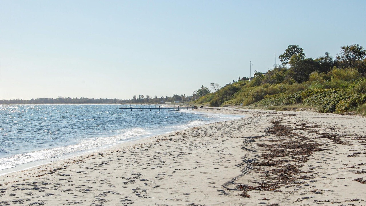 Photo of Others in Saksild Strand
