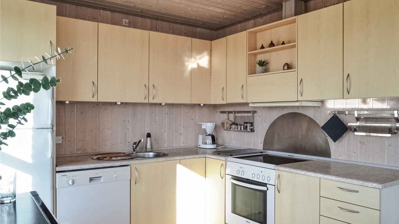 Photo of Others in Hvide Sande