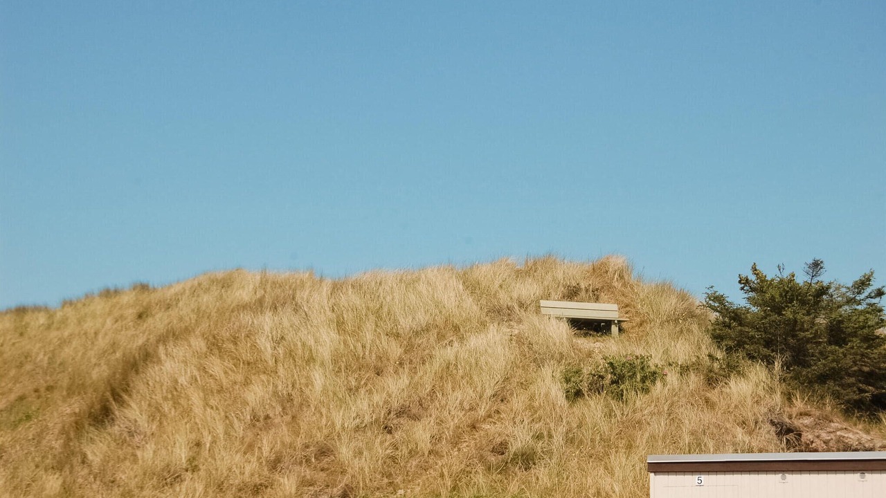 Photo of Others in Hvide Sande