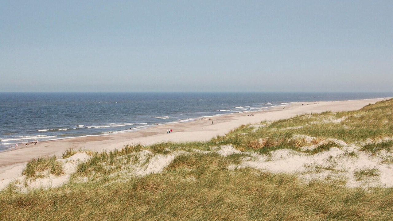 Photo of Others in Hvide Sande