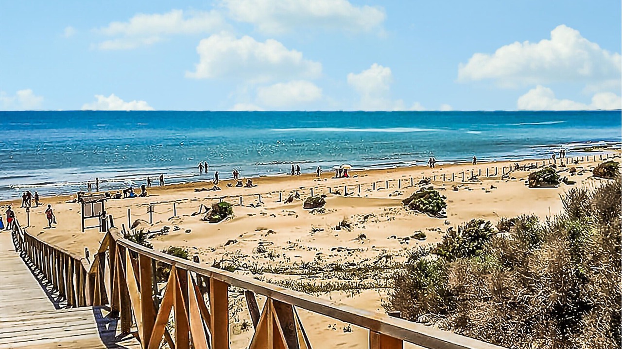 Photo of Others in La Siesta
