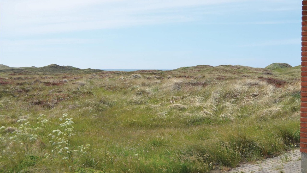 Photo of Others in Vorupør