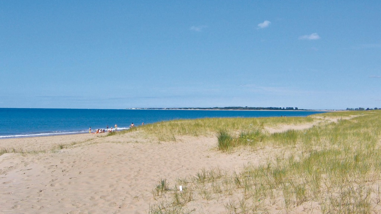 Photo of Others in La Faute-sur-Mer