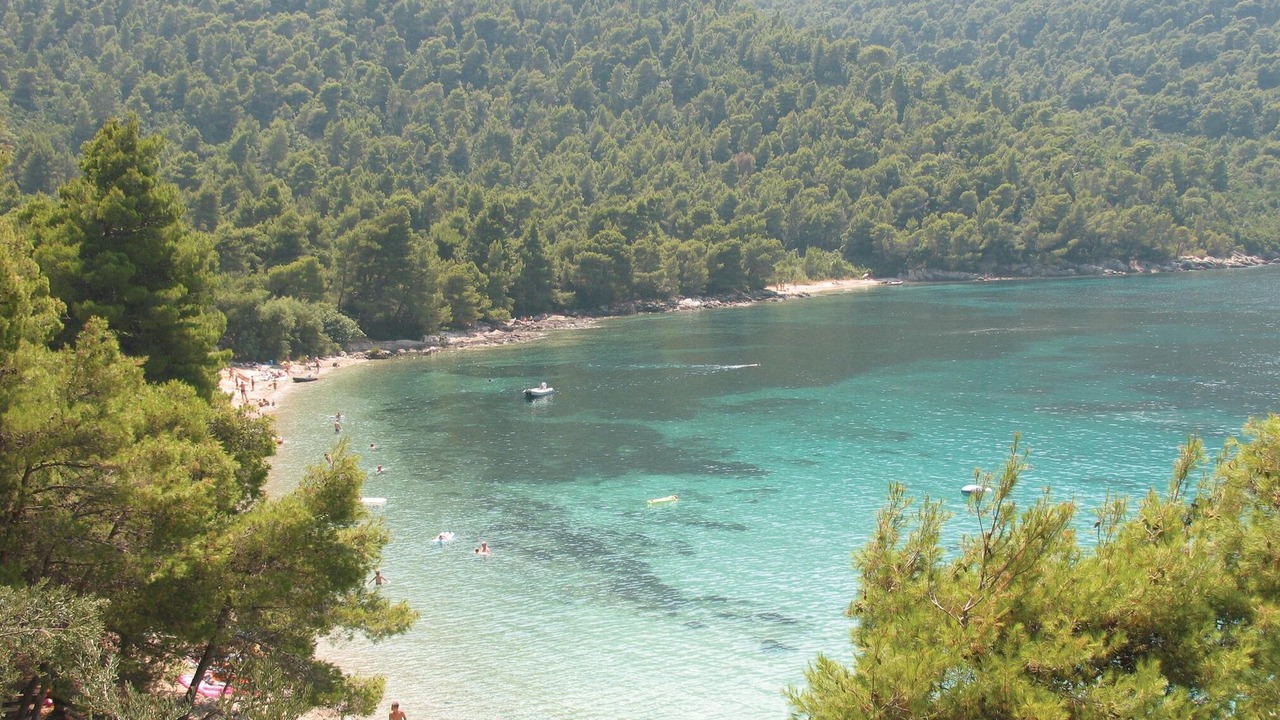 Photo of Others in Broce
