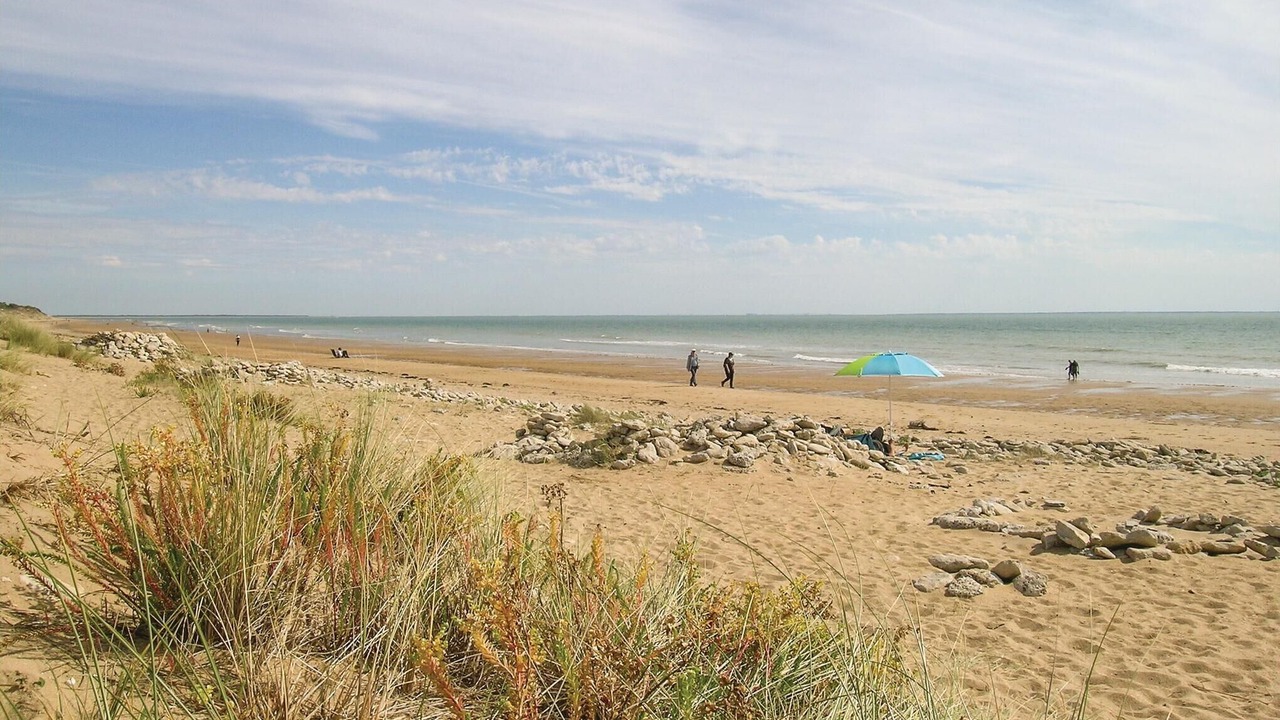Photo of Others in La Tranche-sur-Mer