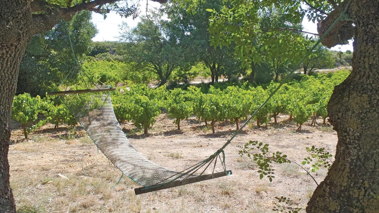 Photo of Others in Murviel-les-Beziers