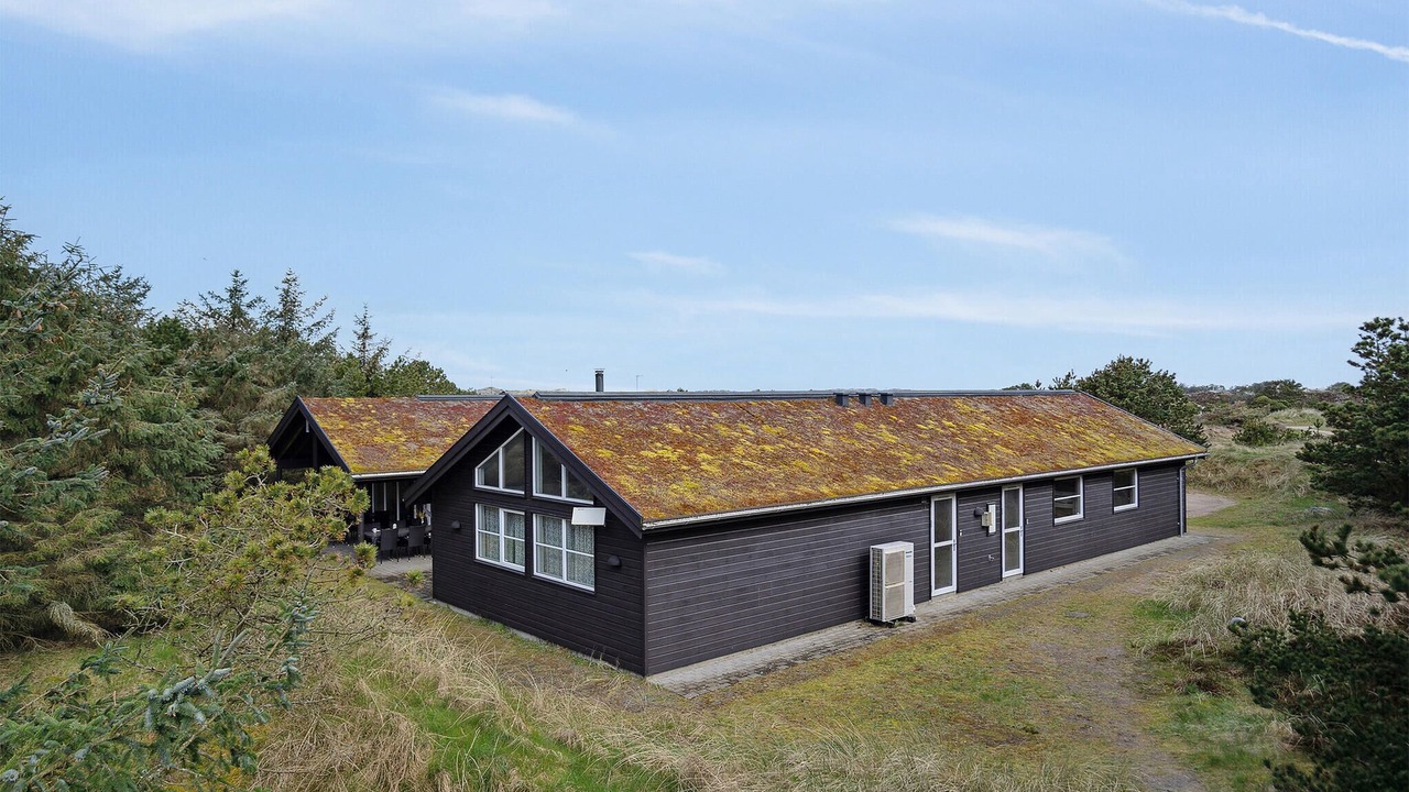 Photo of Others in Blavand Strand