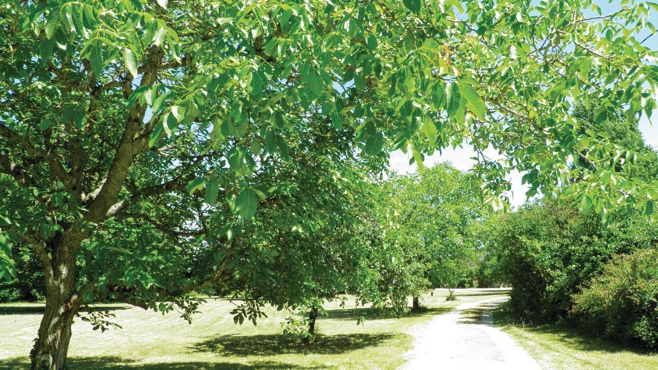 Photo of Bedroom in Bourgueil