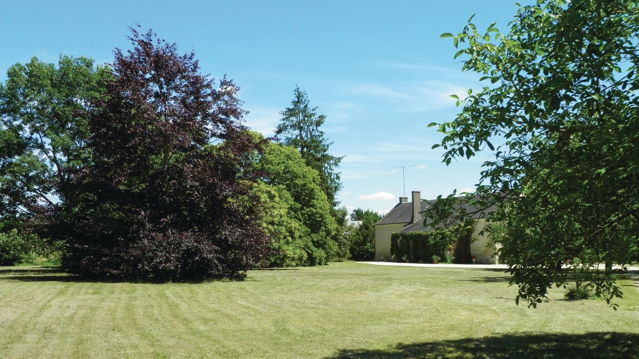 Photo of Outdoor in Bourgueil