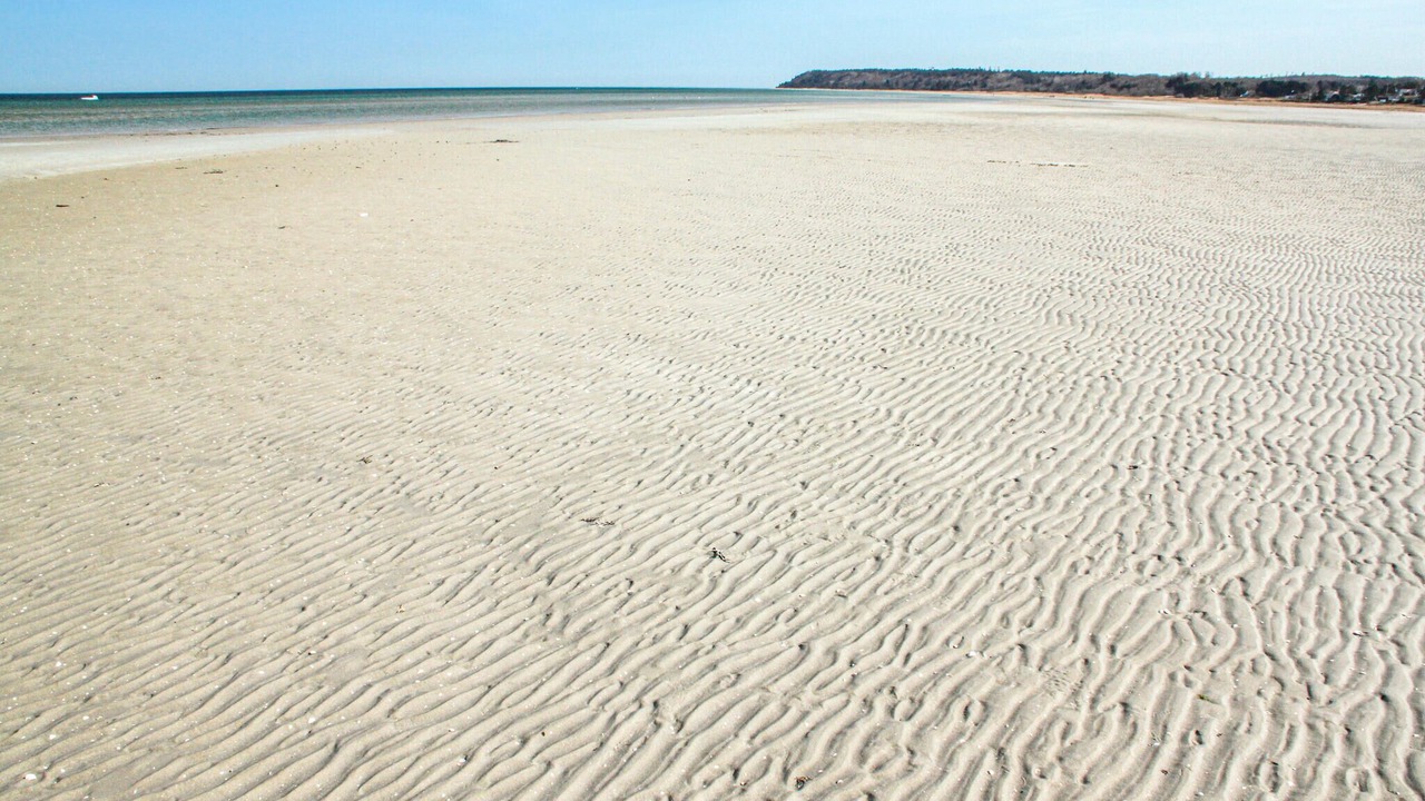 Photo of Others in Bønnerup Strand