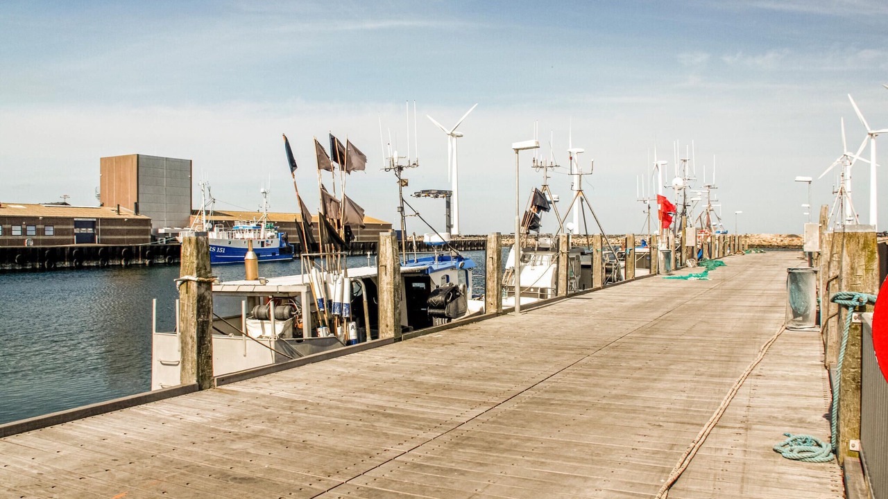 Photo of Others in Bønnerup Strand