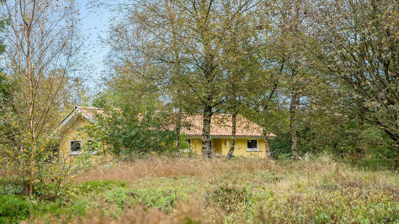 Photo of Others in Skovgaarde