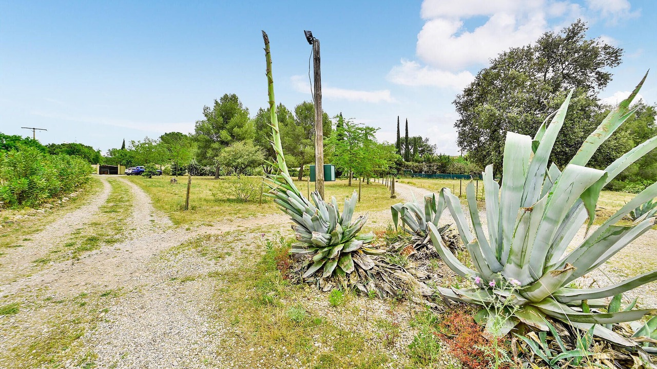 Photo of Others in Aspiran