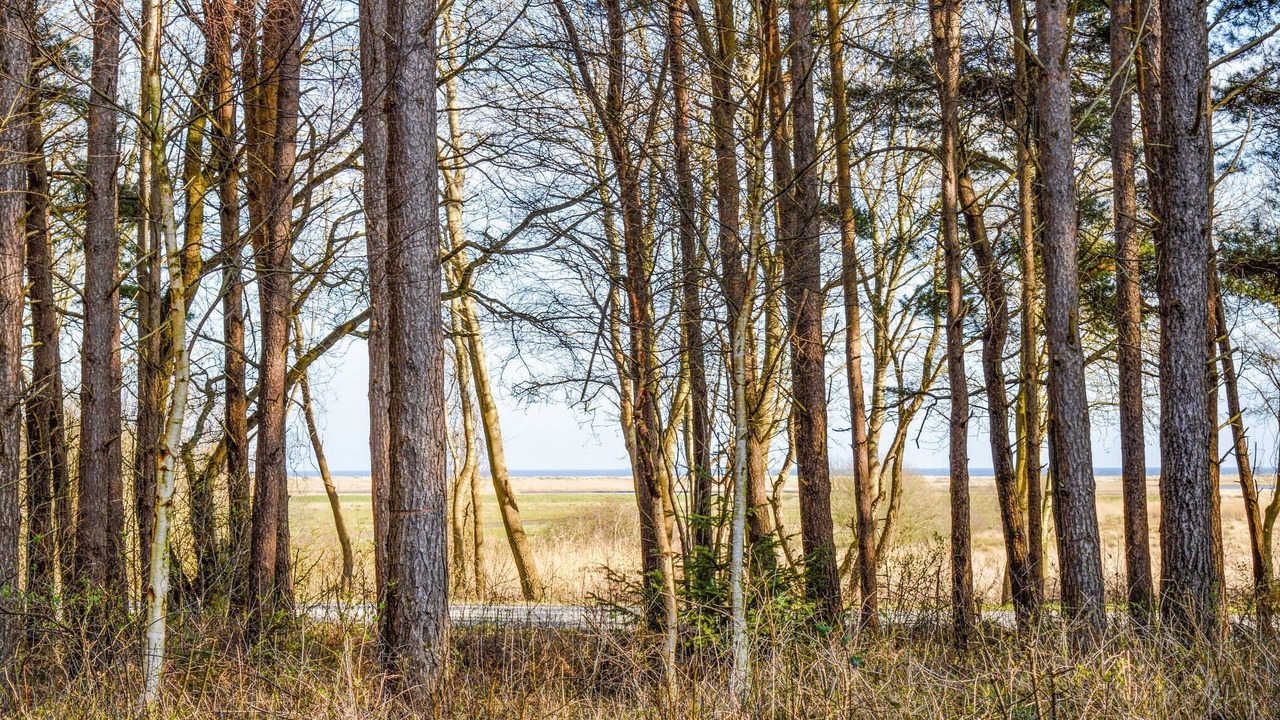 Photo of Others in Nordost