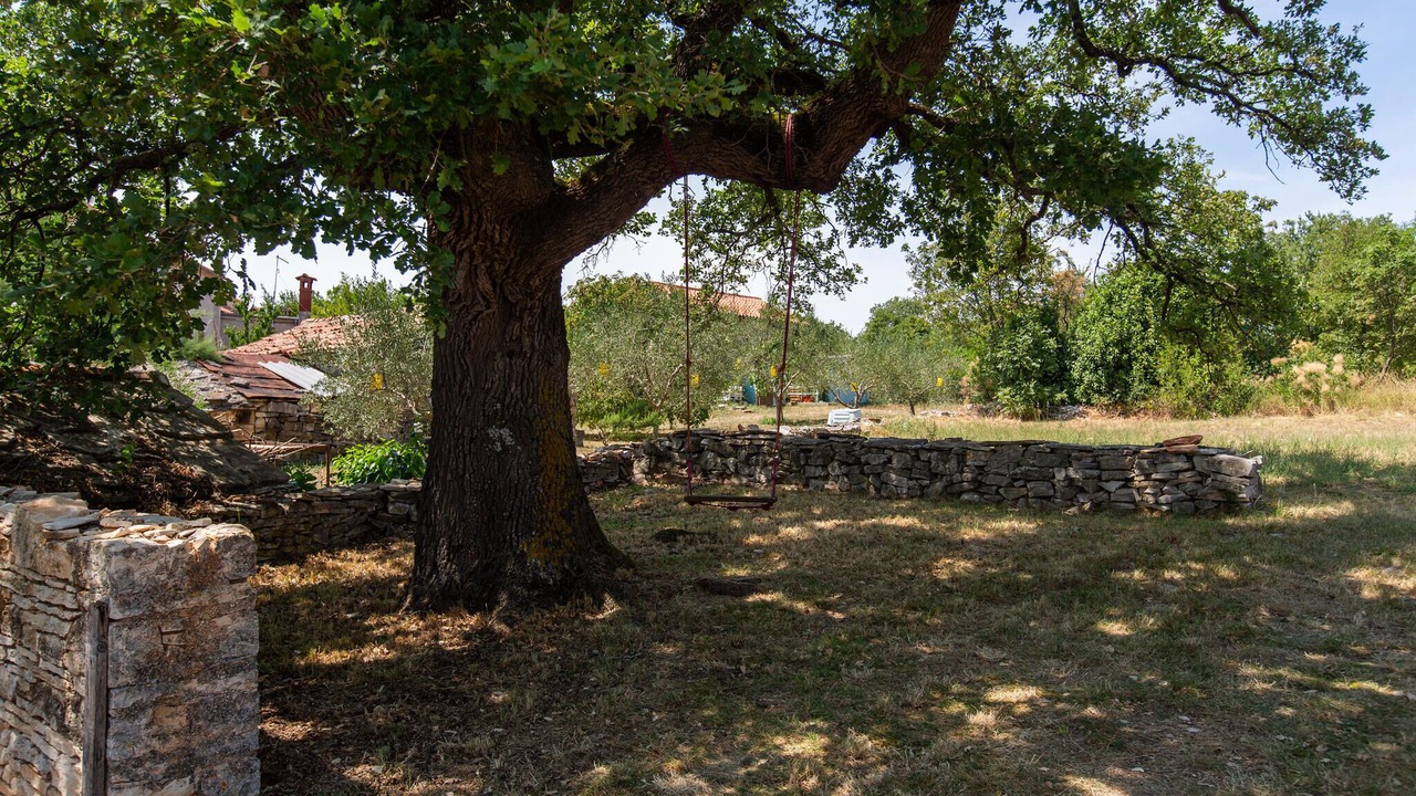 Photo of Others in Kaldanija