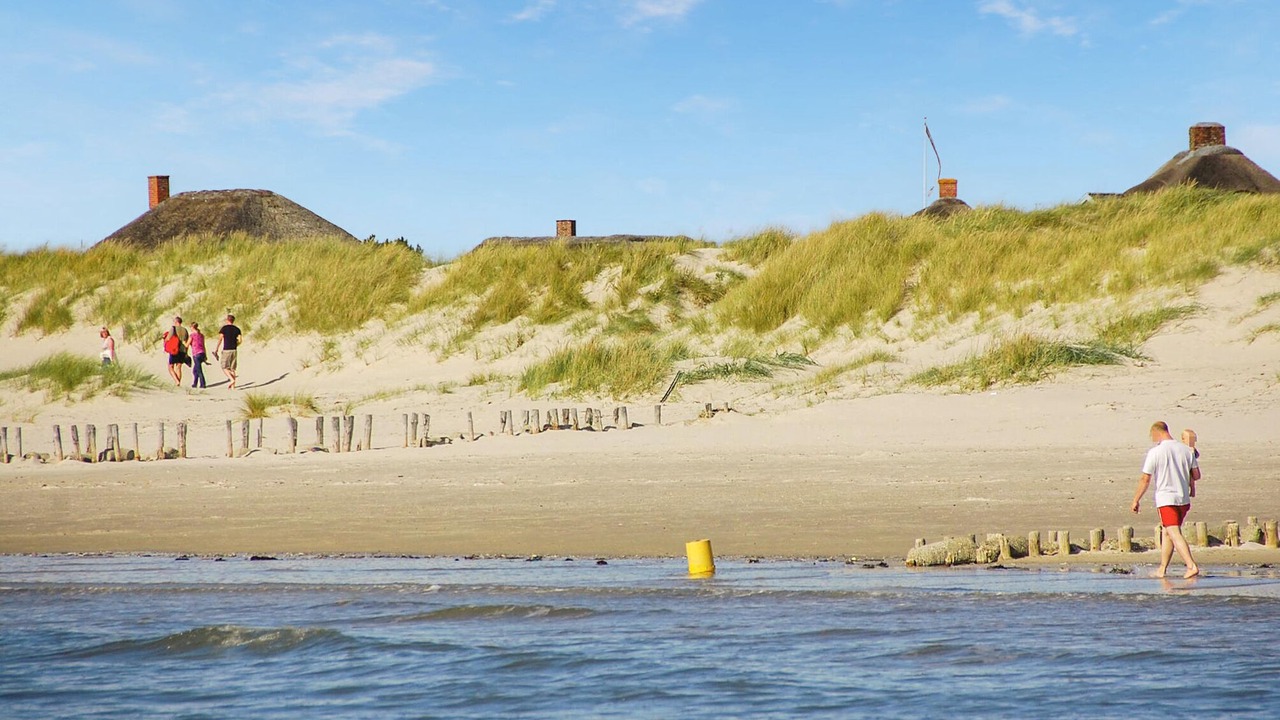 Photo of Others in Blavand