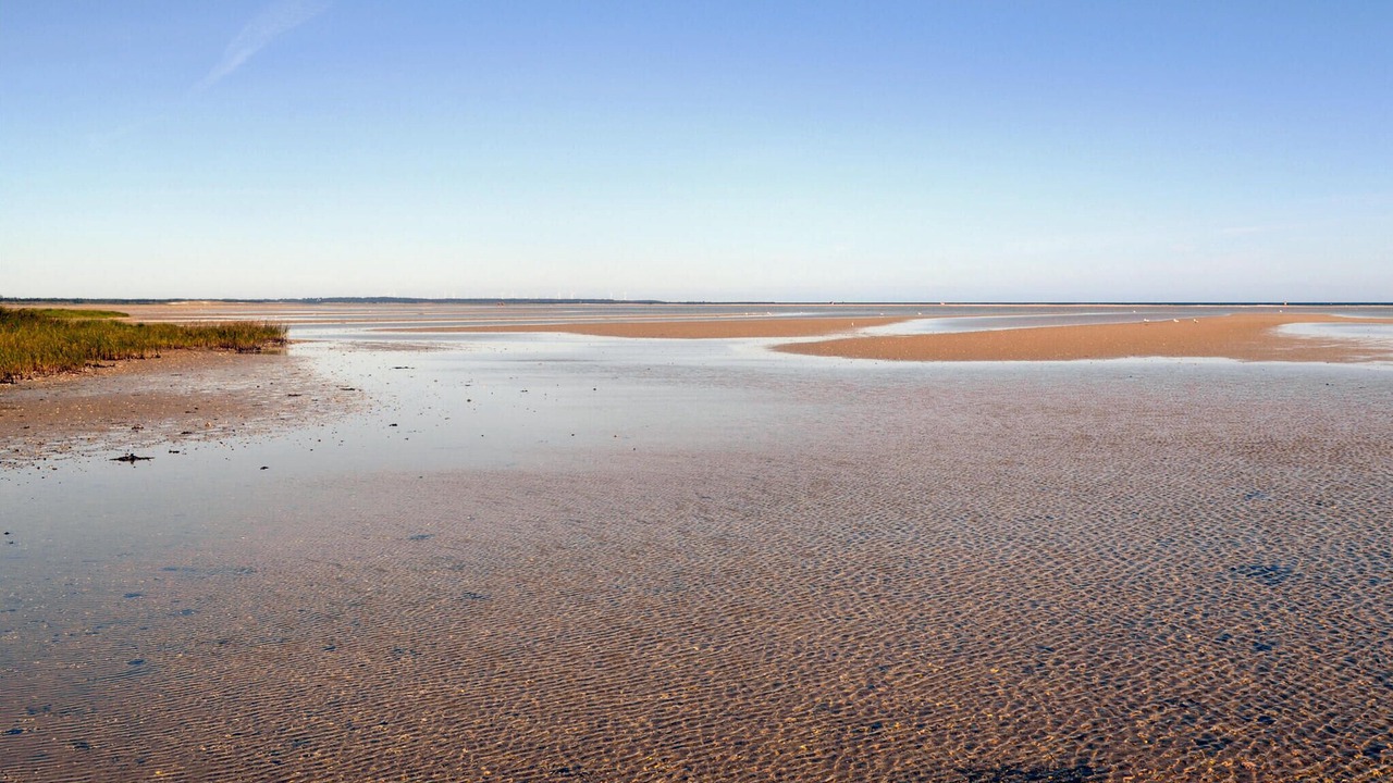 Photo of Others in Ørsted