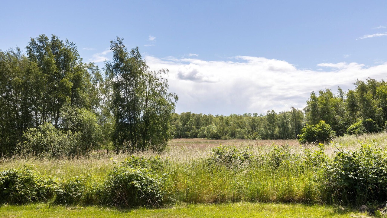 Photo of Others in Ørsted