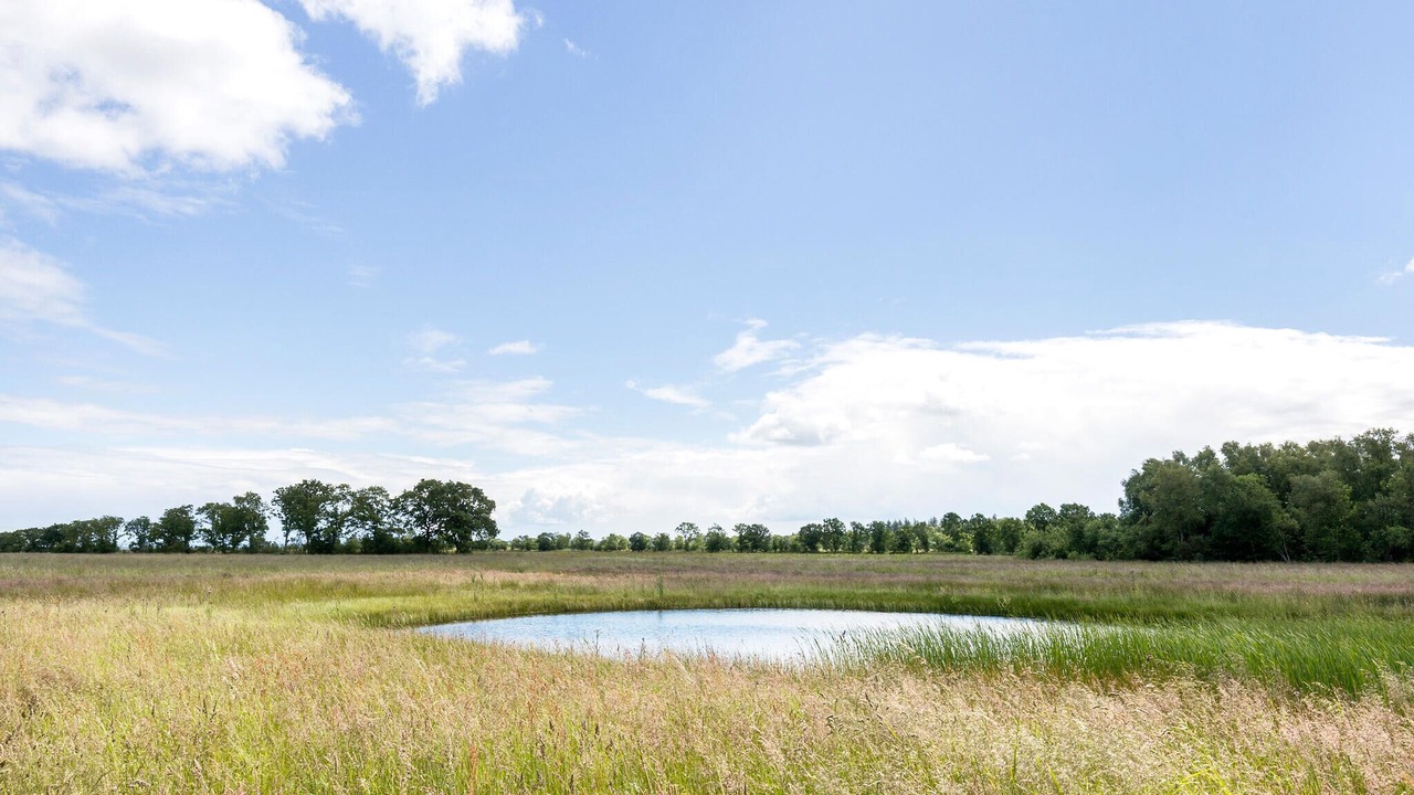 Photo of Bedroom in Ørsted
