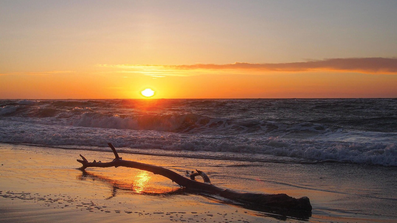 Photo of Others in Lild Strand