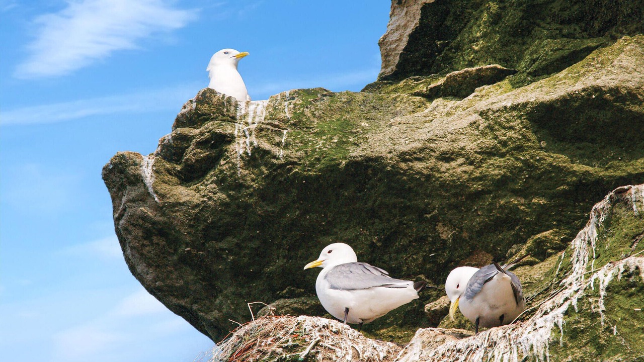 Photo of Others in Lild Strand